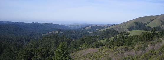 The View from Alpine Road