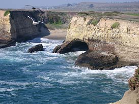 Ohlone Trail