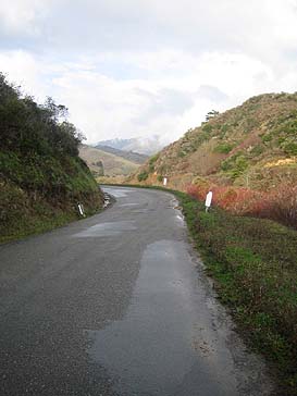 Lobitos Road