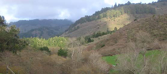 Purissima Valley