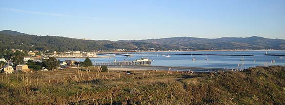 Pillar Point harbor